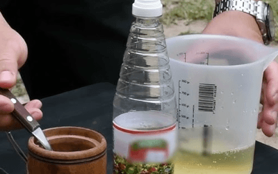 como eliminar plaga de moscas pequeñas